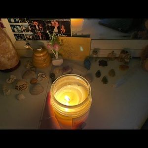 Meet your Posher, Priscilla